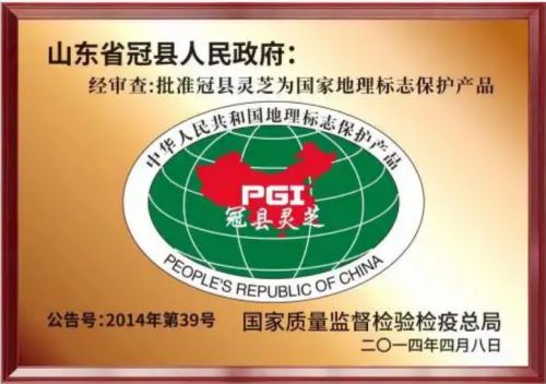 灵芝孢子粉品牌深度解析 权威测评与选购指南，聚焦榜首品牌的双重优势