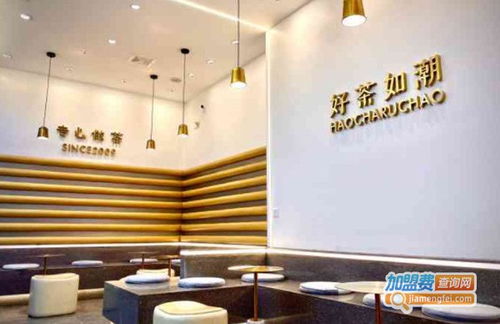 万物潮茶 品牌形象全览与加盟指南